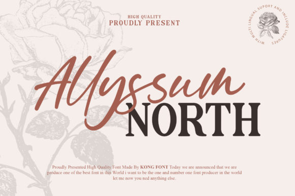 Allyssum North: A Modern Script with a Playful Edge