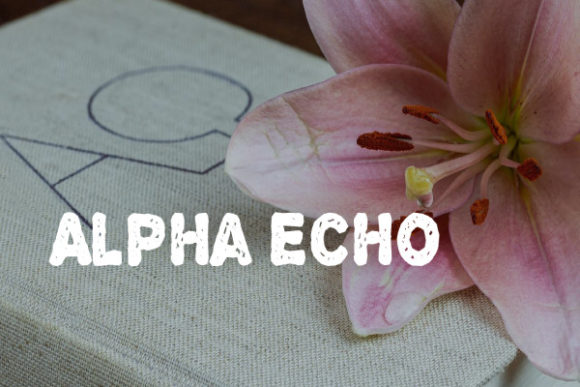 Alpha Echo: A Creative Display Font for Bold Branding