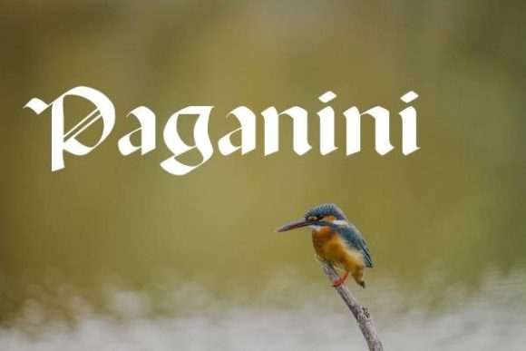 Paganini: Unleashing Gothic Drama in Your Designs